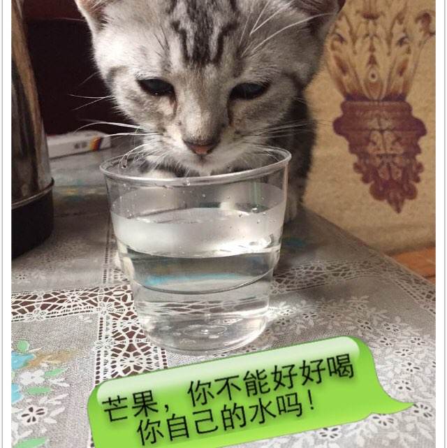 拉文大学教育部留服认证
